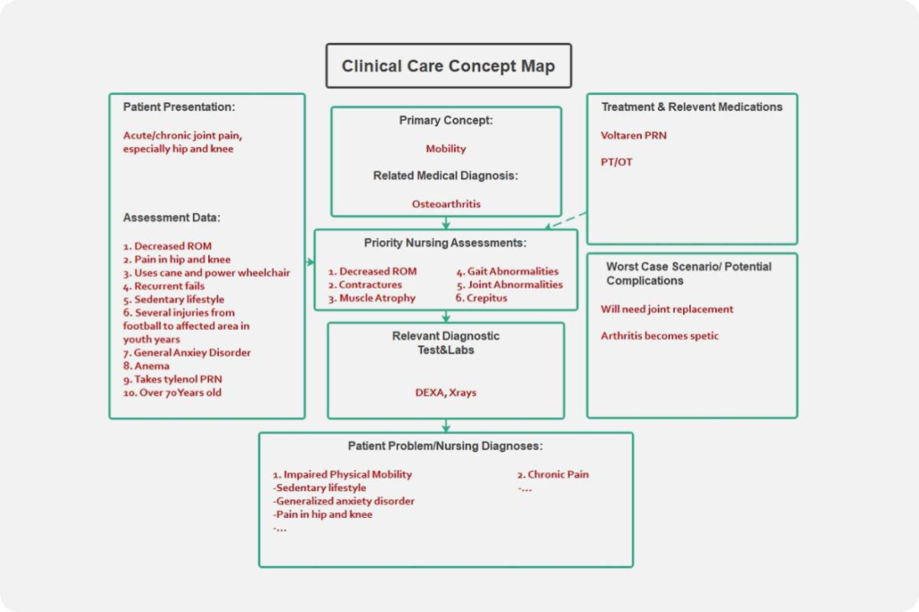 #4. Nursing Concept Map