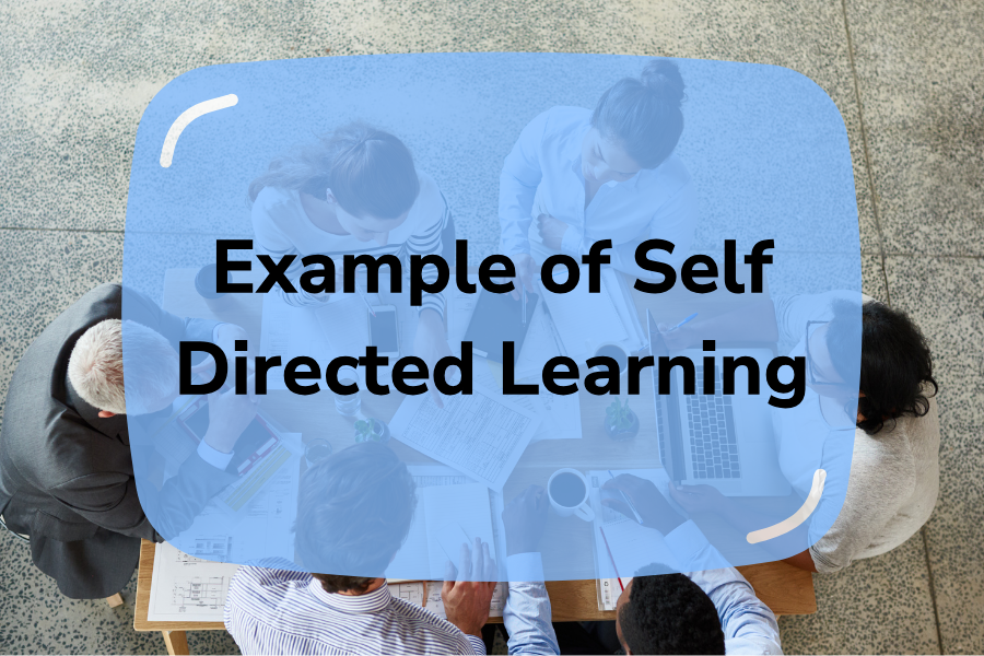 Amazing Ideas For An Example Of Self Directed Learning | 2024 Reveals