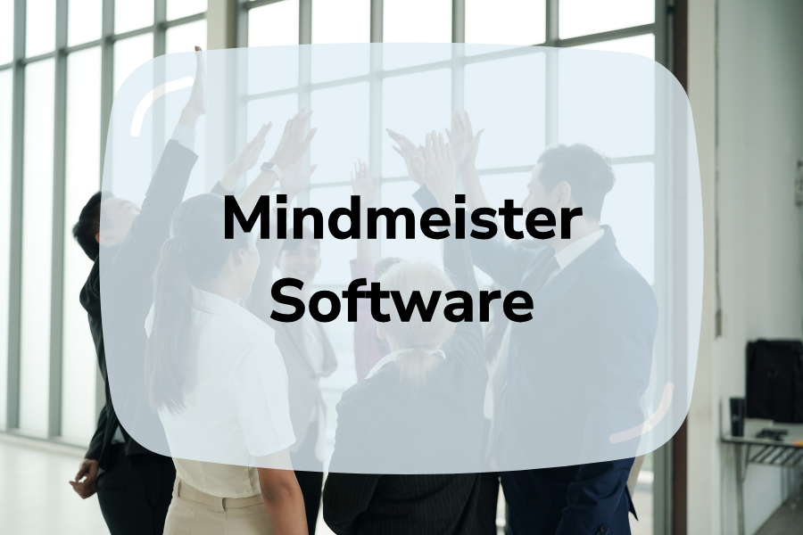 How To Use MindMeister Software | Detailed Guide 2024 